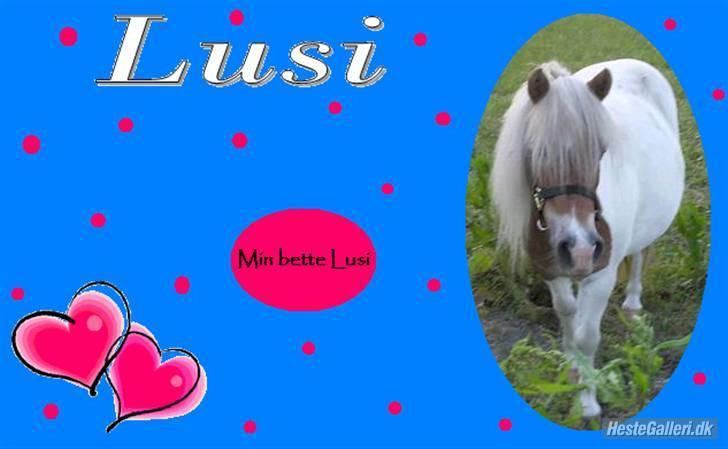 Shetlænder Lusi R.I.P <3 billede 14