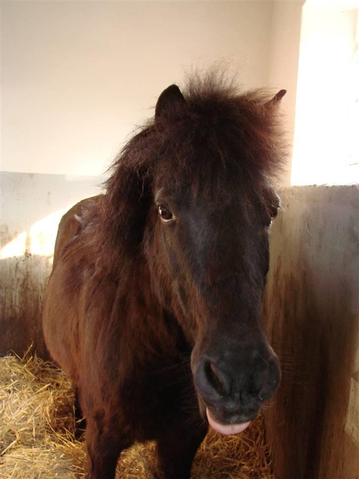 Anden særlig race Tarzan billede 15
