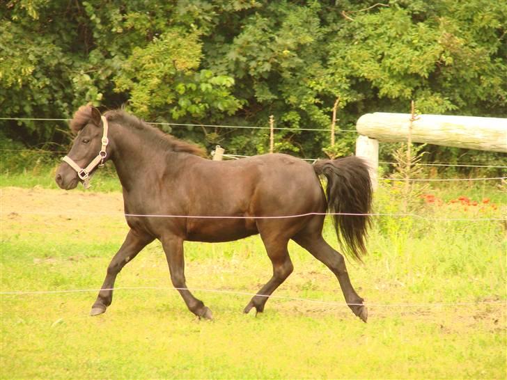 Anden særlig race Tarzan billede 16