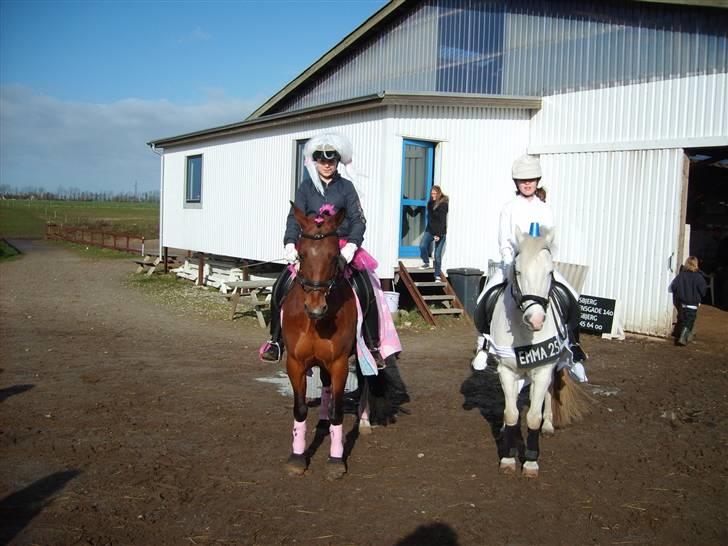 Anden særlig race Dubonet<3 r.i.p. hvorfor? - dubo til venstre og sulle til højre. emma og sulle er ambulangse billede 7