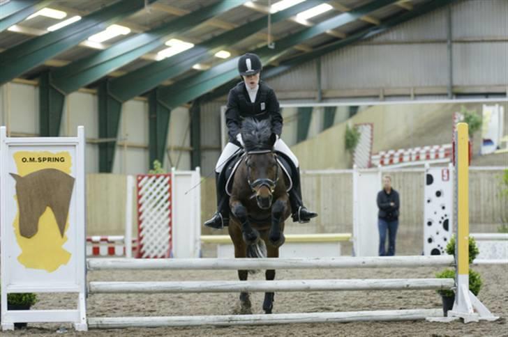 New Forest Storådalens Cecilie - springstævne fulesanggaardrideklub d.18 billede 14