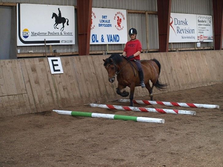 New Forest Charly - Rytterlejr 2010 Springundervisning Lørdag billede 4