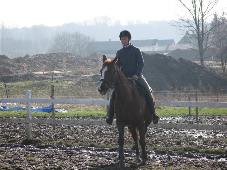 Dansk Varmblod Sommerstedskovs Ocean - Så er mig og Ocean ude at ride for første gang... (08-03-08) billede 2