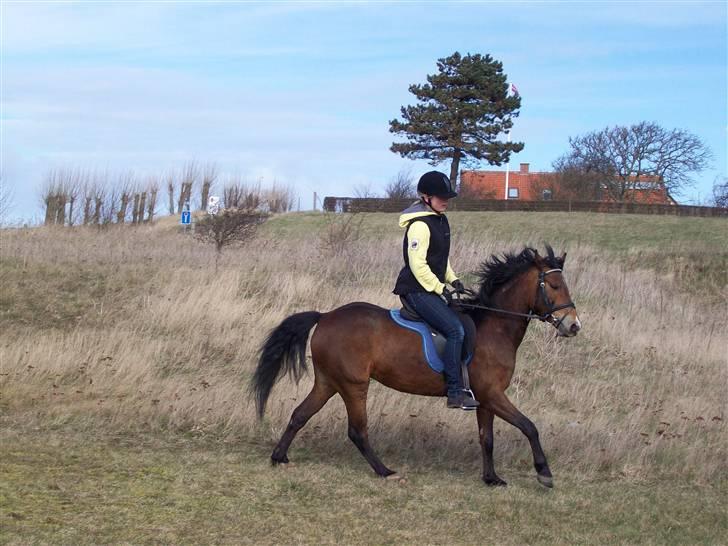 DSP Asprilla solgt billede 17