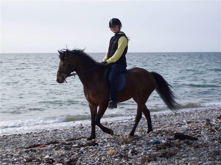 DSP Asprilla solgt billede 18