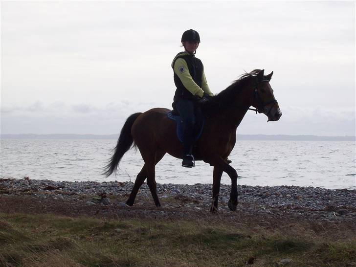 DSP Asprilla solgt billede 20