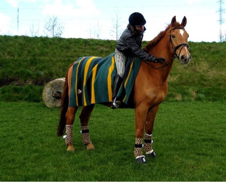 Anden særlig race Atos billede 3