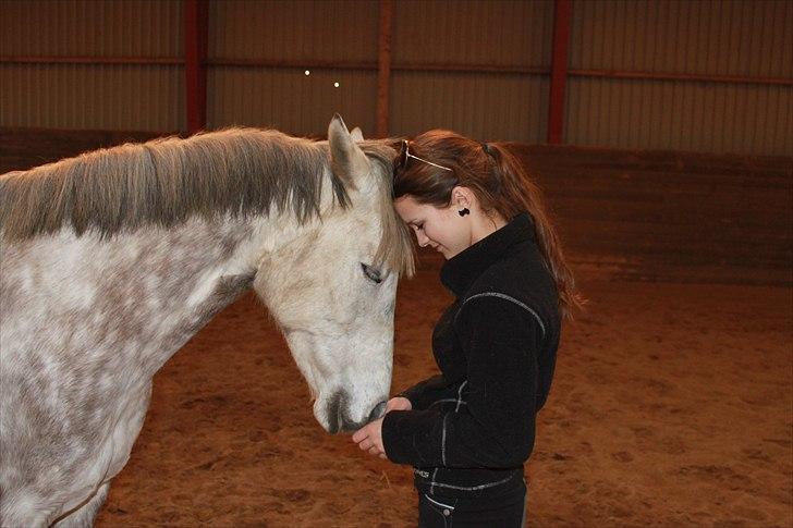 Tysk Sportspony SCARLETT - And if you ever forget how much you really mean to me, everyday I will remind you. billede 10