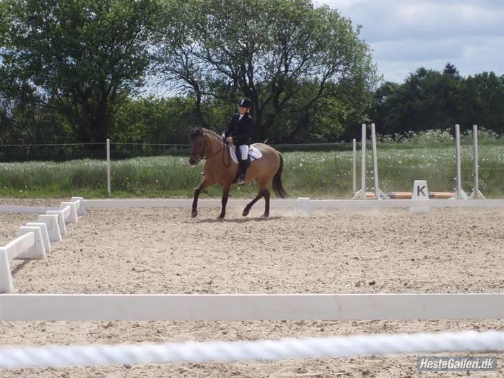 Anden særlig race KATJA - hejhej billede 1