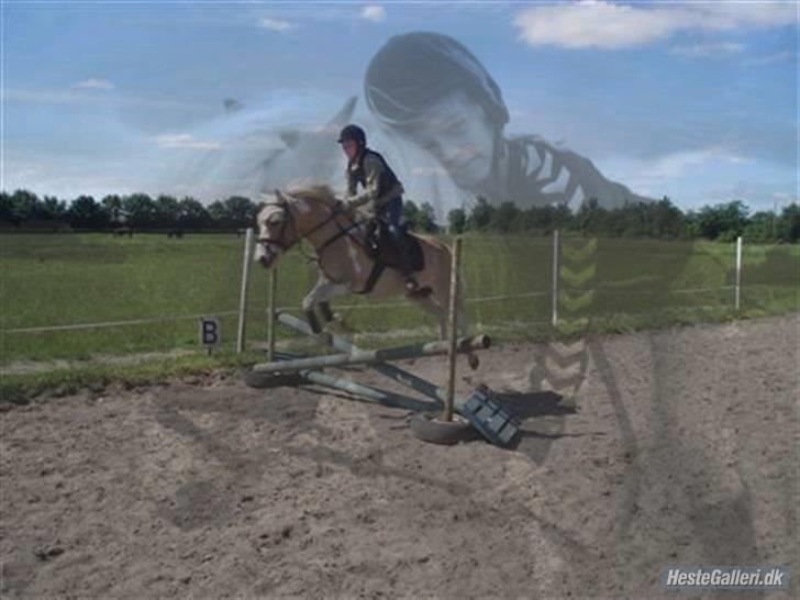 Anden særlig race Bailey <3 - solgt d.08/08/2007. - 13} - hygge/spring. billede 13