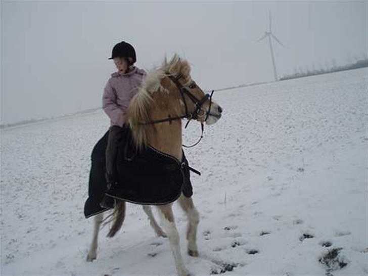 Anden særlig race Bailey <3 - solgt d.08/08/2007. - 14} - shiiiit en campingvogn mon den bider? o_Ó billede 14