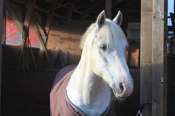Anden særlig race GHOST BUSTER - Hold nu op, hvor jeg elsker dig! billede 7