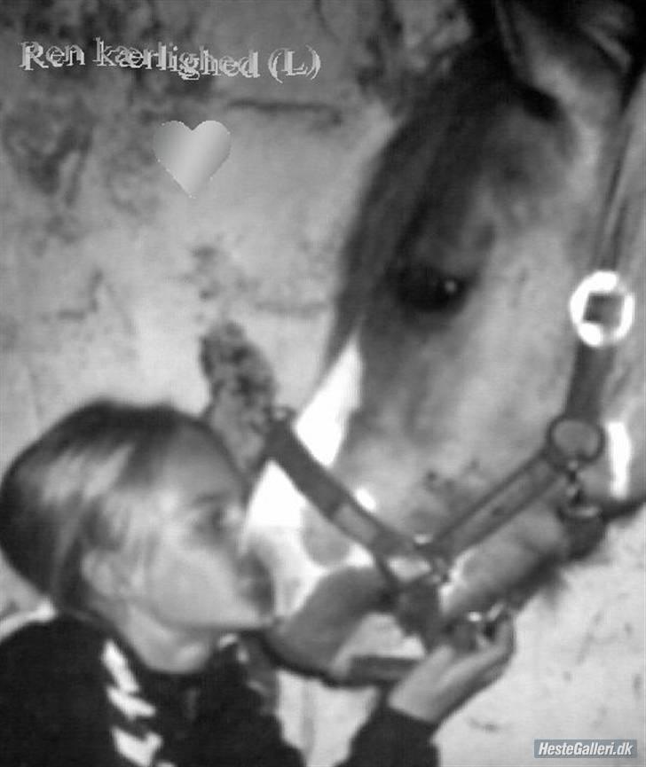 Anden særlig race Bailey <3 - solgt d.08/08/2007. - 15} - fordi det passer! billede 15