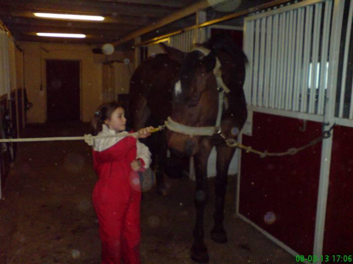 Anden særlig race Milton - Milton med min datter Monique på staldgangen billede 3