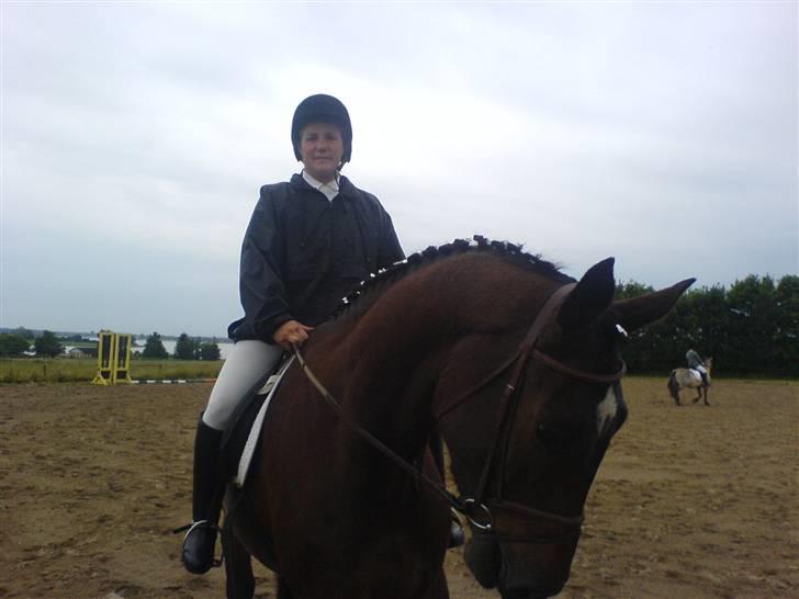 Anden særlig race Milton - 1. stævne d.22.06.08 billede 8