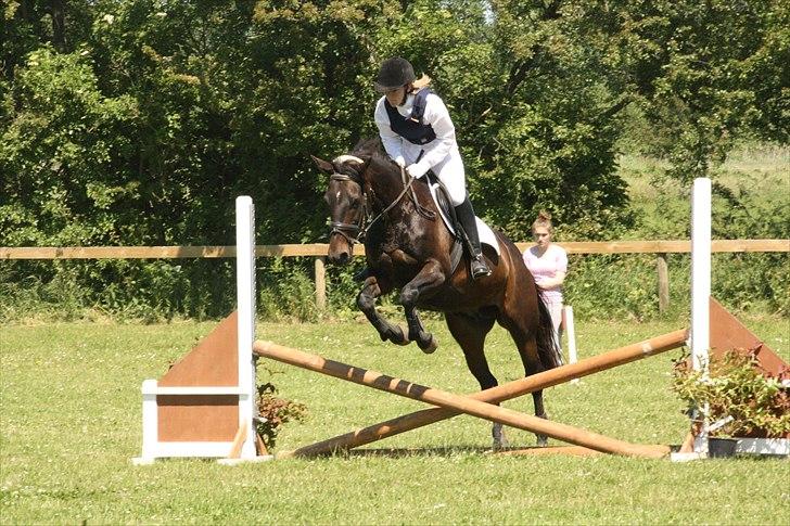 Anden særlig race Tyra - Clearround i Langå! :D - Foto: Line Skou billede 9