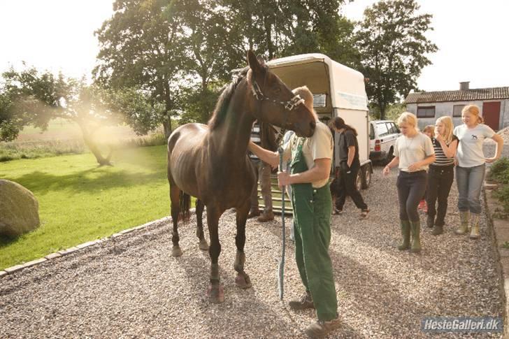Anden særlig race Tyra - Da Tyra så sit nye hjem for første gang :) billede 10