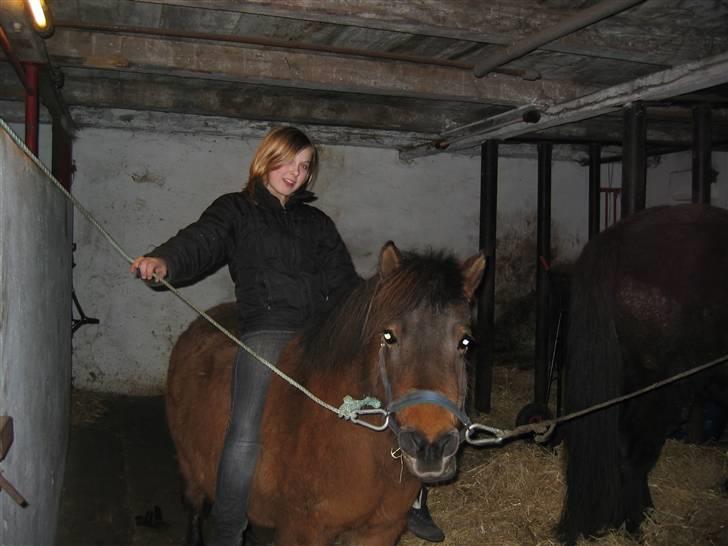 Shetlænder Musse *DØD* D'': - mig og mijn lille pony <,´33 ... taget den: 16. marts-08 billede 13