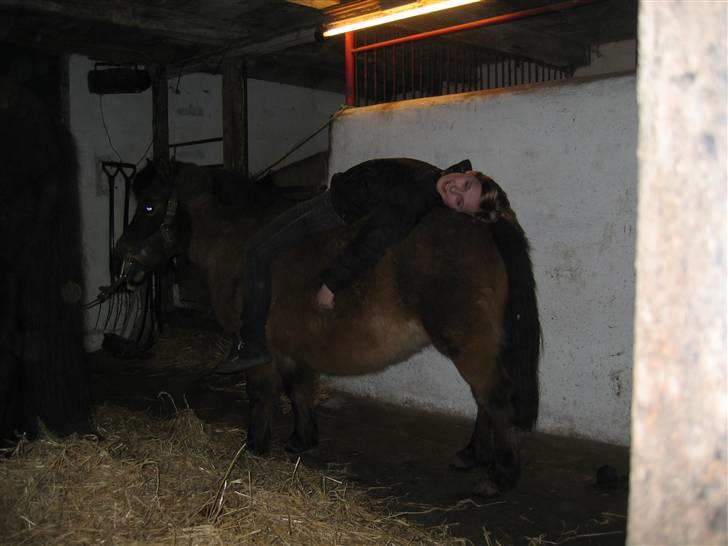 Shetlænder Musse *DØD* D'': - åhh.., hvad skulle jeg da gøre hvis jeg ik´ havde dig? <´´33 , Musse billede 14