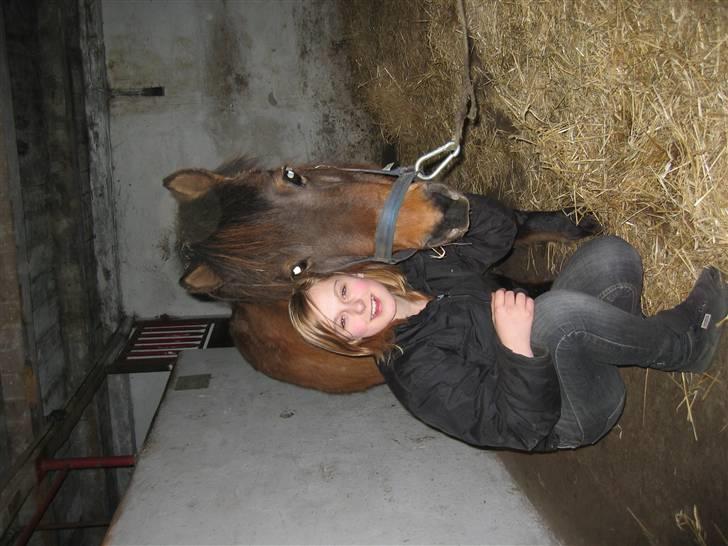 Shetlænder Musse *DØD* D'': - er vi ik´ søde? billede 16