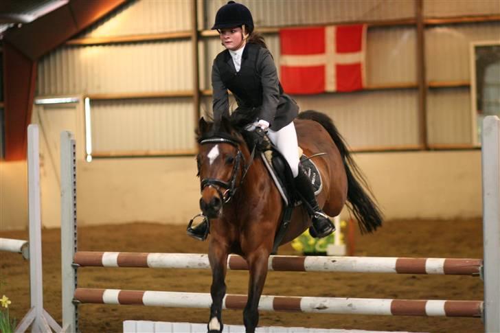 Tysk Sportspony Mirabell  {RIP} - Stævne d. 16/3, VRCL, LA (; billede 3