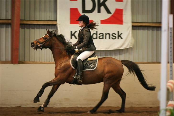 Tysk Sportspony Mirabell  {RIP} - Stævne d. 16/3, VRCL, LA (; billede 5