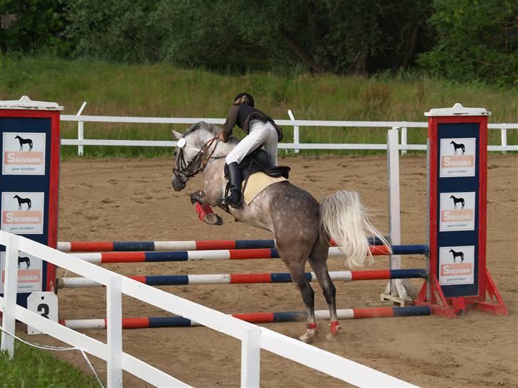 Anden særlig race Amigo(slogt d.7/5-10) - Sandra sidder til højre billede 6