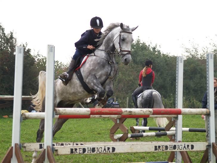 Anden særlig race Amigo(slogt d.7/5-10) - Endnu et smuuuukt billede, hvor Sandra IGEN sidder til højre ;p Haha.. Og hendes tå spiller smart <3 billede 7