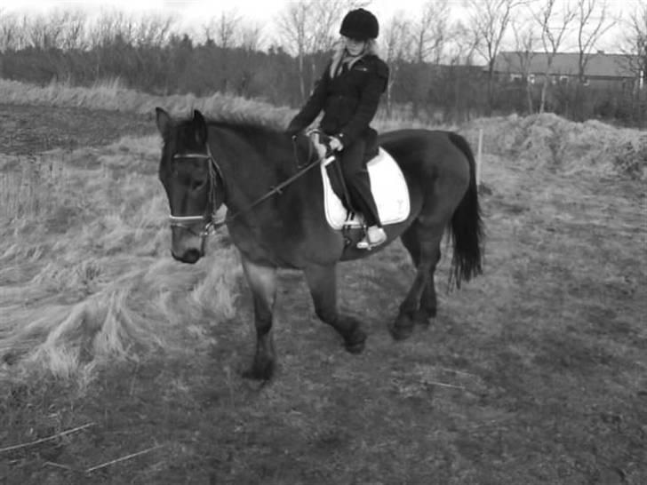 Oldenborg tanja Nyholm billede 12