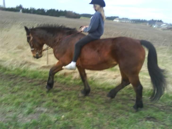 Oldenborg tanja Nyholm billede 13