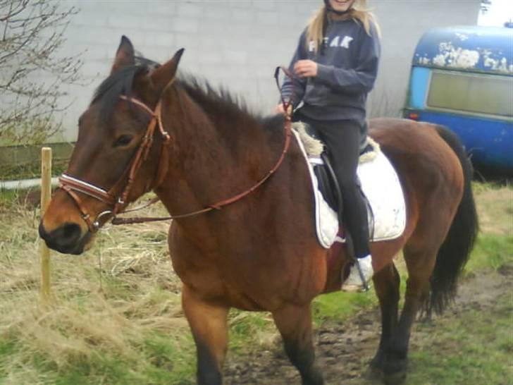 Oldenborg tanja Nyholm billede 14