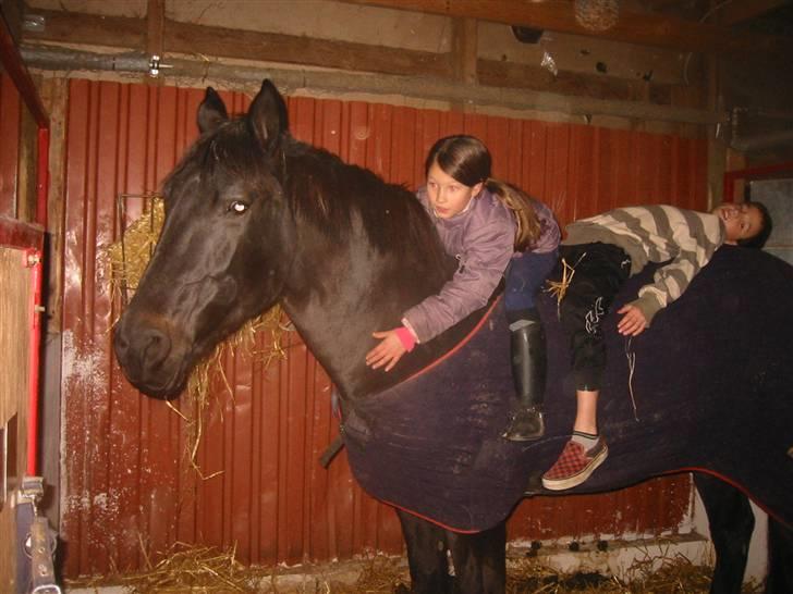 Anden særlig race Labell - Tja, se lige en gang, hvor rolig hun er :0) billede 12