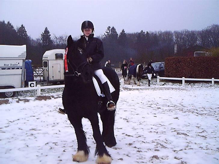 Irish Cob Lillevangs Darling - Darling og jeg til vores allerførste stævne, som var i Midtsjællands Rideklub i januar 2005! <3 Vi vandt en 1. plads og en delt 3. plads! :D <33 billede 16