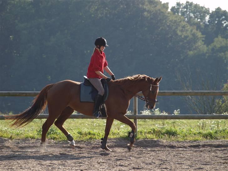 Fuldblod (XX) Pearl Harbor billede 3