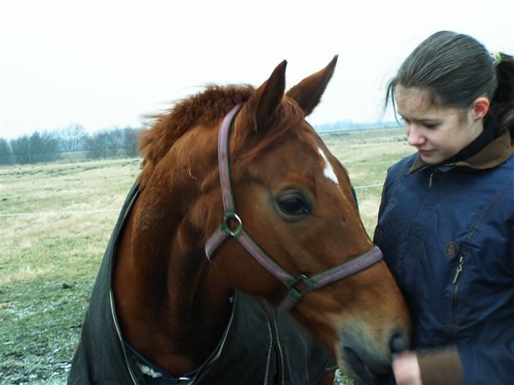 Fuldblod (XX) Pearl Harbor - PH og min søster billede 6