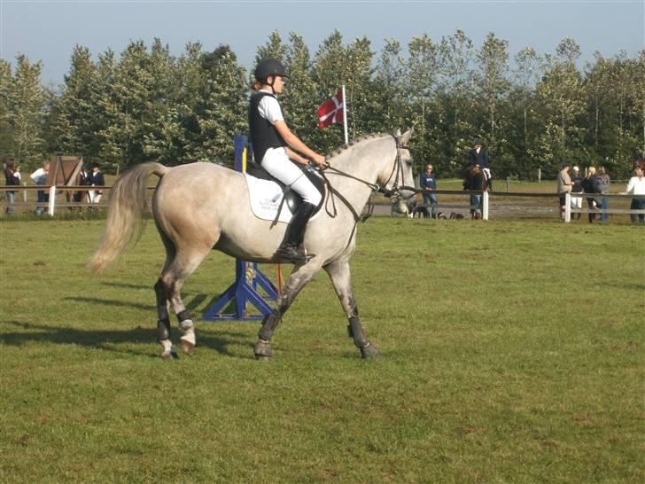 Anden særlig race Diego - Diego og jeg til det første spring stævne.. :D billede 7