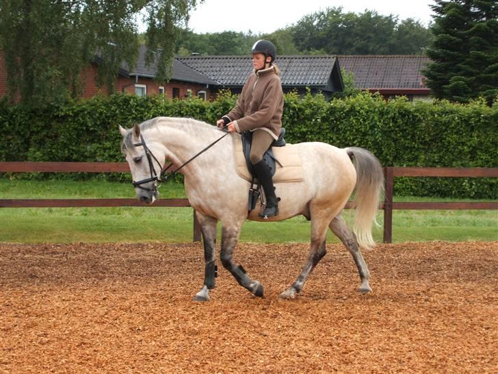 Anden særlig race Diego - Den første sommer med Diego.. <333 billede 10