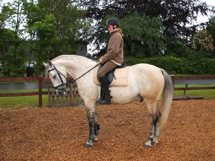 Anden særlig race Diego - Fin eller ???? billede 11