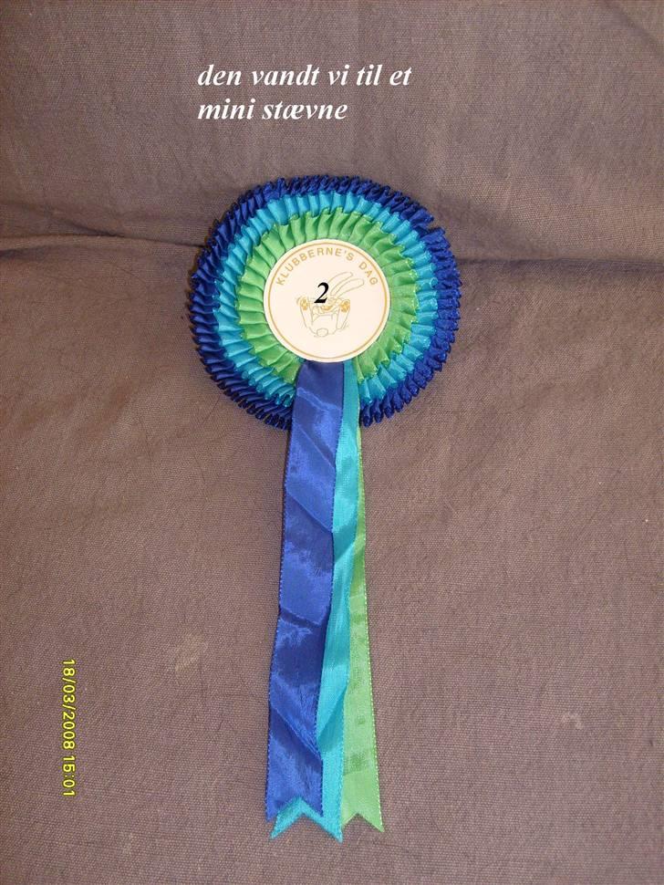 Palomino Oswald har passet - her er den roset vi vandt sammen billede 20