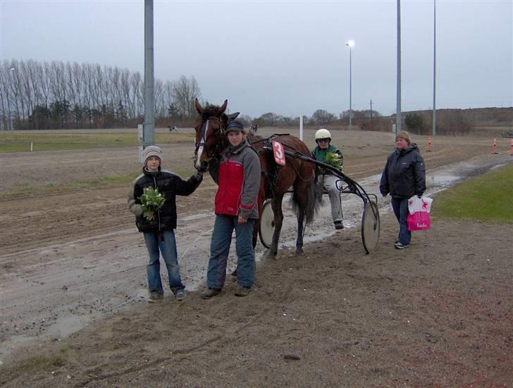 Traver Full Speed - Fulle ved hendes gammle ejer, efter et løb i Nykøbing .. billede 4