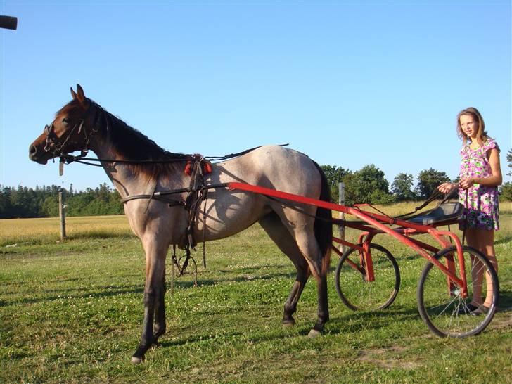 Traver Papaya Kaski  - Velkommen, se alle billederne og giv en kommentar ? (: billede 1