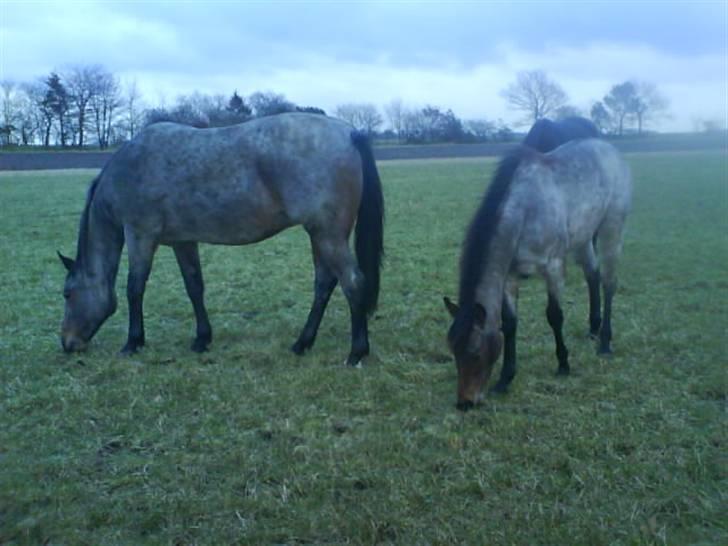 Traver Papaya Kaski  - Mor og datter billede :b billede 6