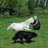 Pura Raza Española Fiffi