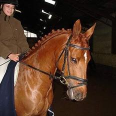 Anden særlig race La Rouge  *SOLGT* 