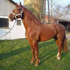 Frederiksborg Kazahr