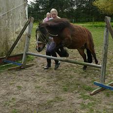 Anden særlig race Sera. R.I.P 2-9-10