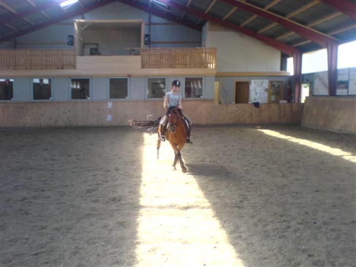 Anden særlig race Miss Flying Daisy SOLGT - Weee dressur så smuk...  ©® billede 12