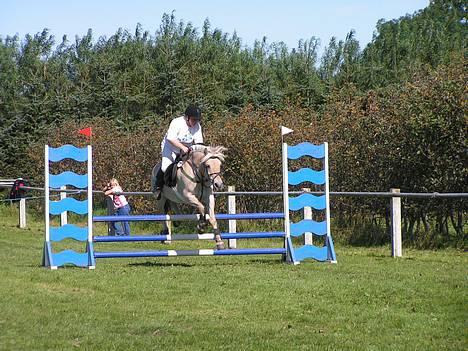 Fjordhest Lisette - lisette revsø 2005 billede 9