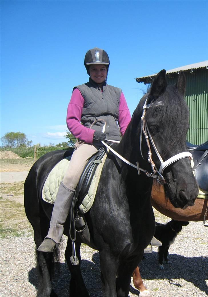 Frieser Gayke van Stal Zwanenven billede 2