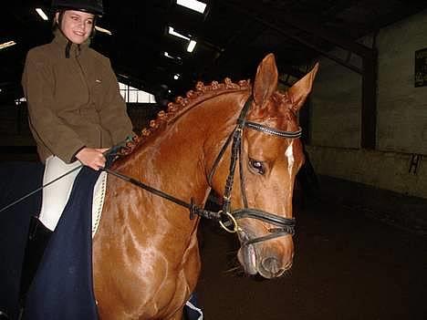 Anden særlig race La Rouge  *SOLGT*  - Mm´ på opvarmninq´sbanen . Stævne, sportsrideklubben Thisted  ,.  billede 1